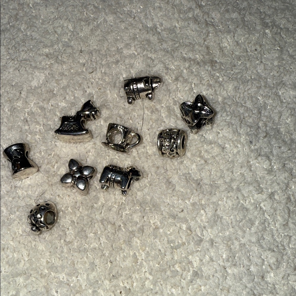 Silver Charm Collection - Picture 3 of 5